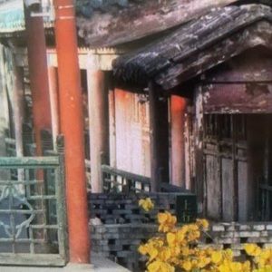 Meet your Posher, Vincent